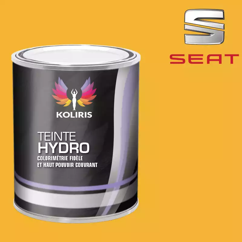 Peinture voiture hydro Seat