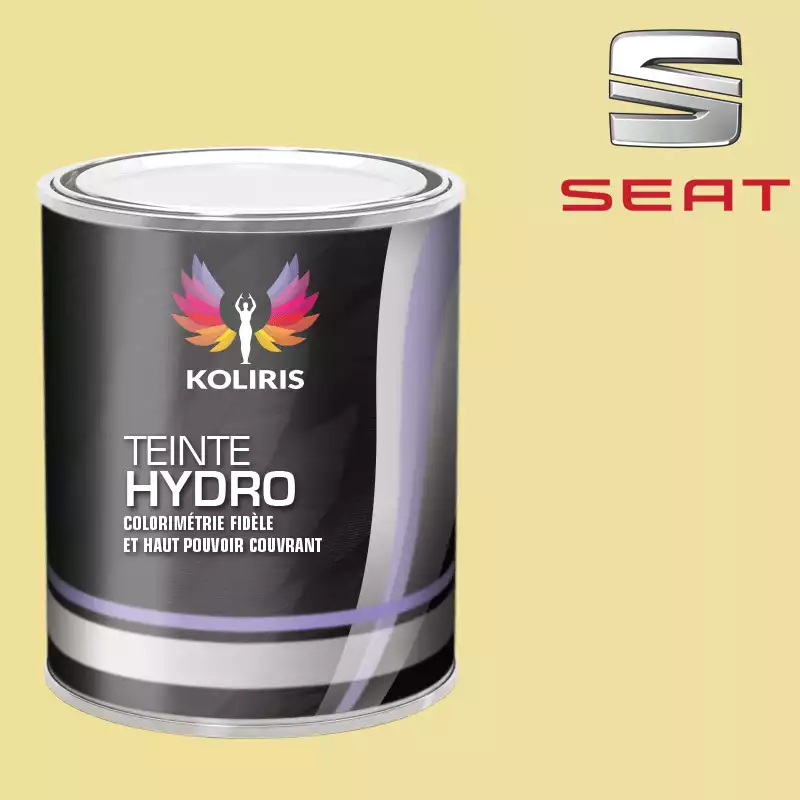 Peinture voiture hydro Seat