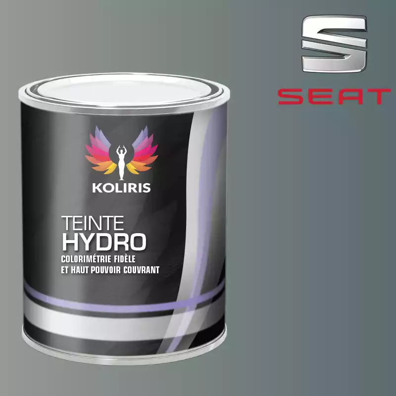 Peinture voiture hydro Seat