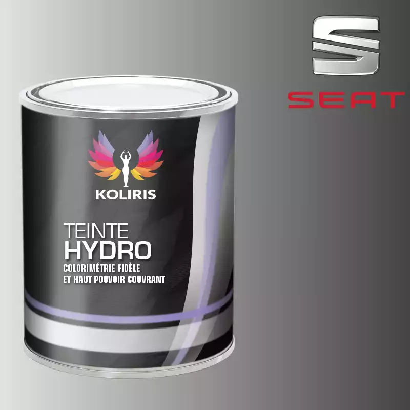 Peinture voiture hydro Seat