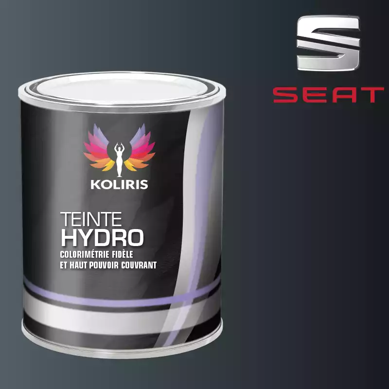 Peinture voiture hydro Seat