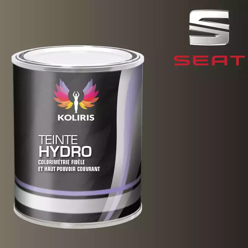 Peinture voiture hydro Seat