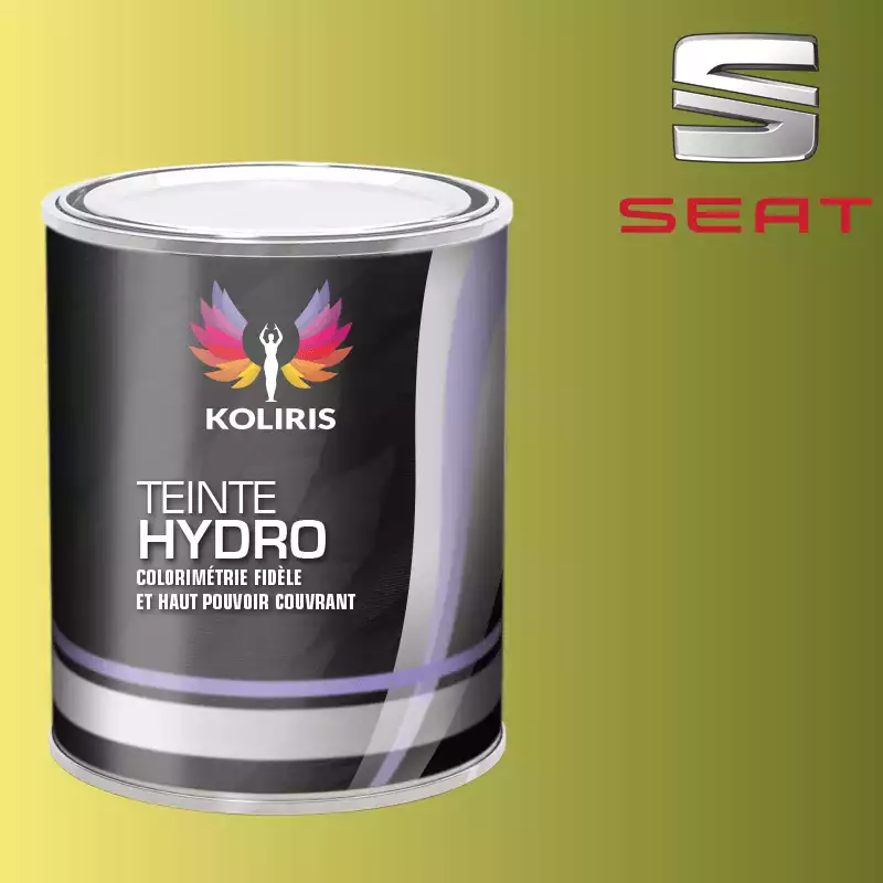 Peinture voiture hydro Seat