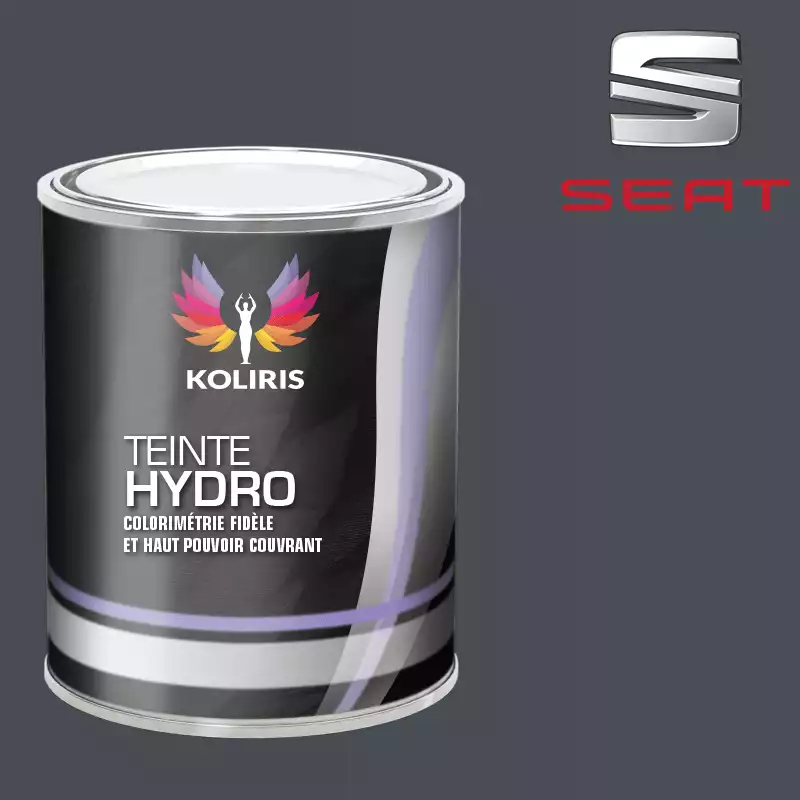 Peinture voiture hydro Seat