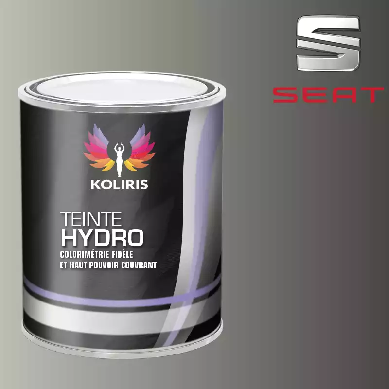 Peinture voiture hydro Seat