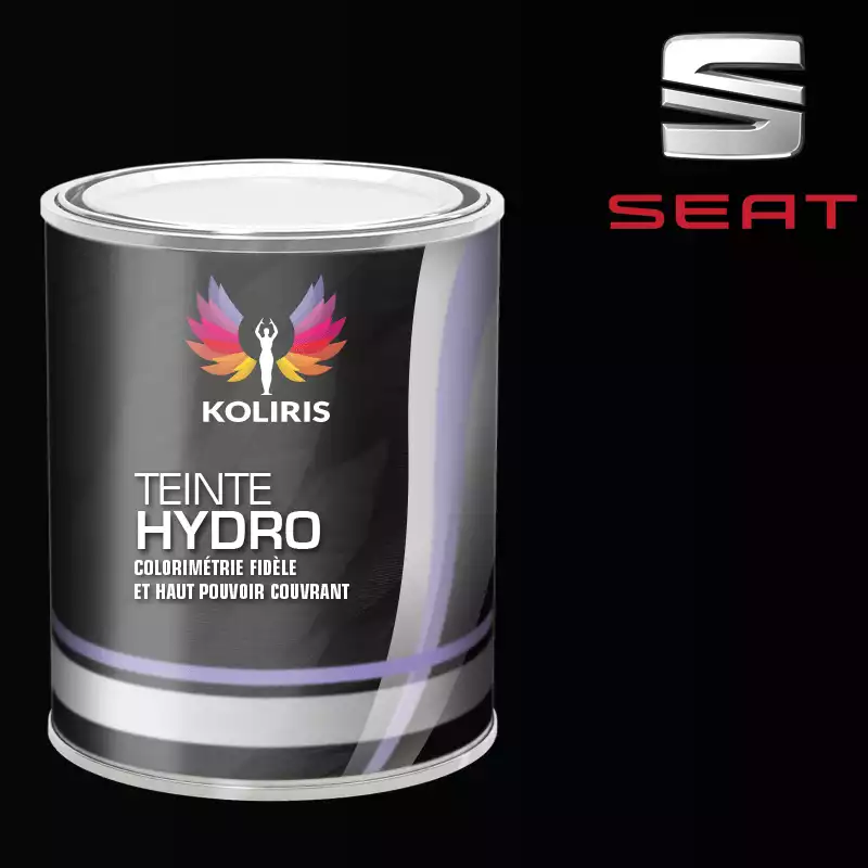 Peinture voiture hydro Seat