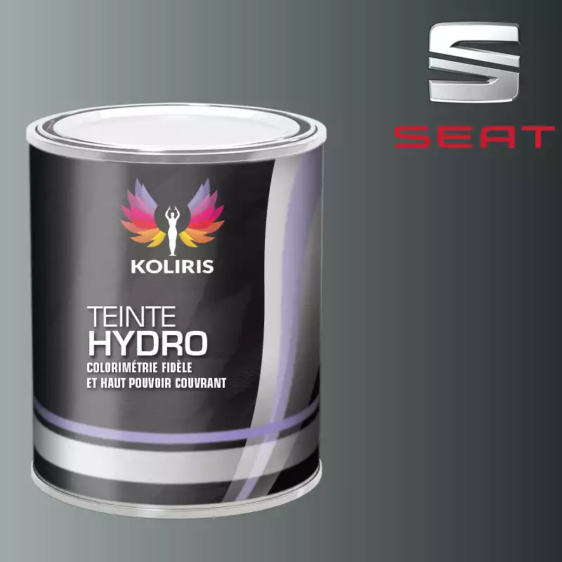 Peinture voiture hydro Seat