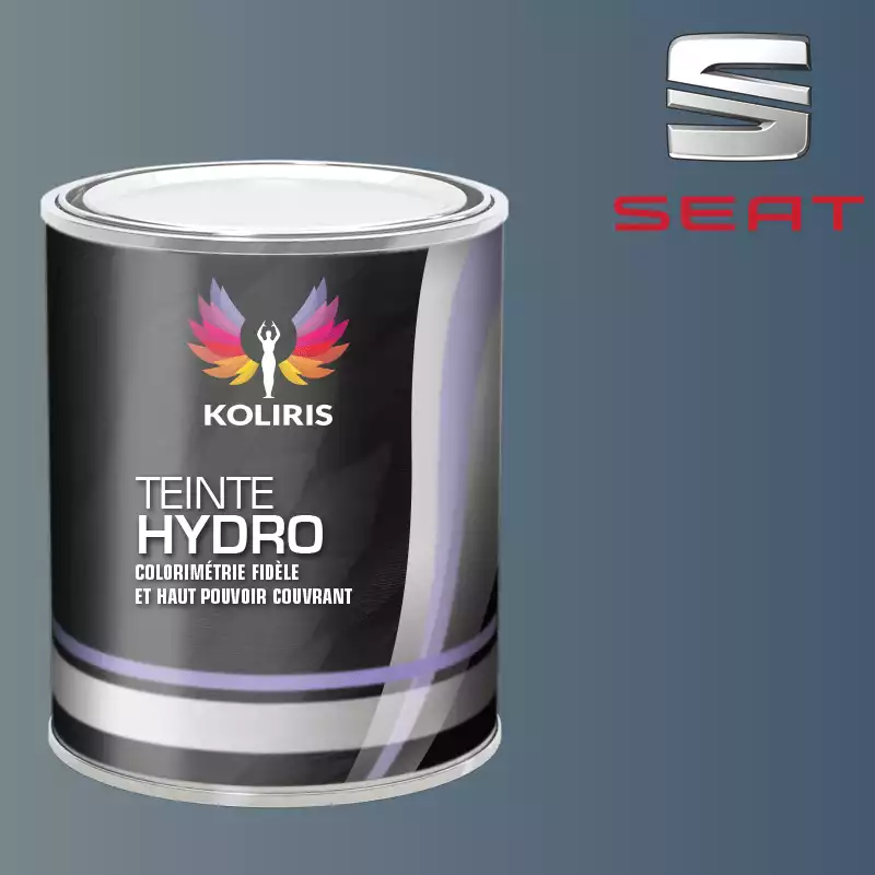 Peinture voiture hydro Seat