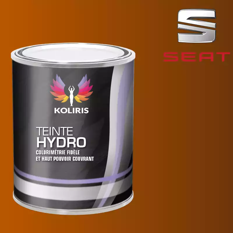 Peinture voiture hydro Seat