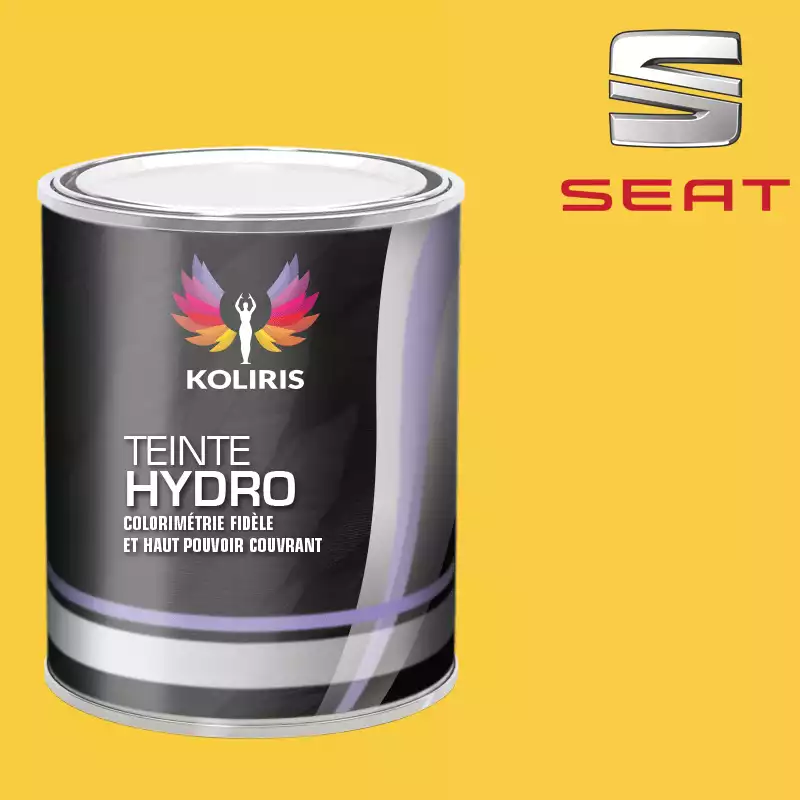 Peinture voiture hydro Seat