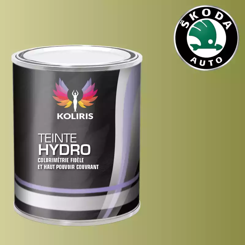 Peinture voiture hydro Skoda