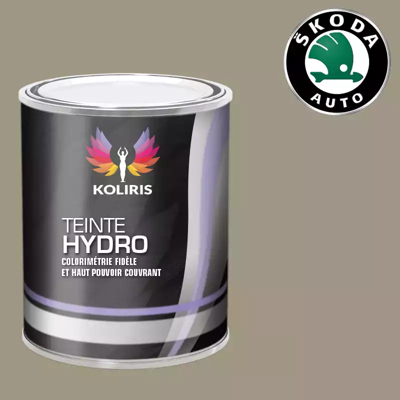 Peinture voiture hydro Skoda