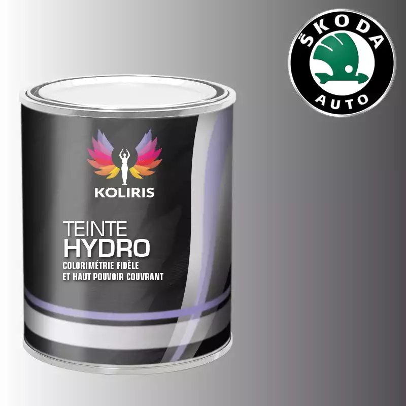 Peinture voiture hydro Skoda