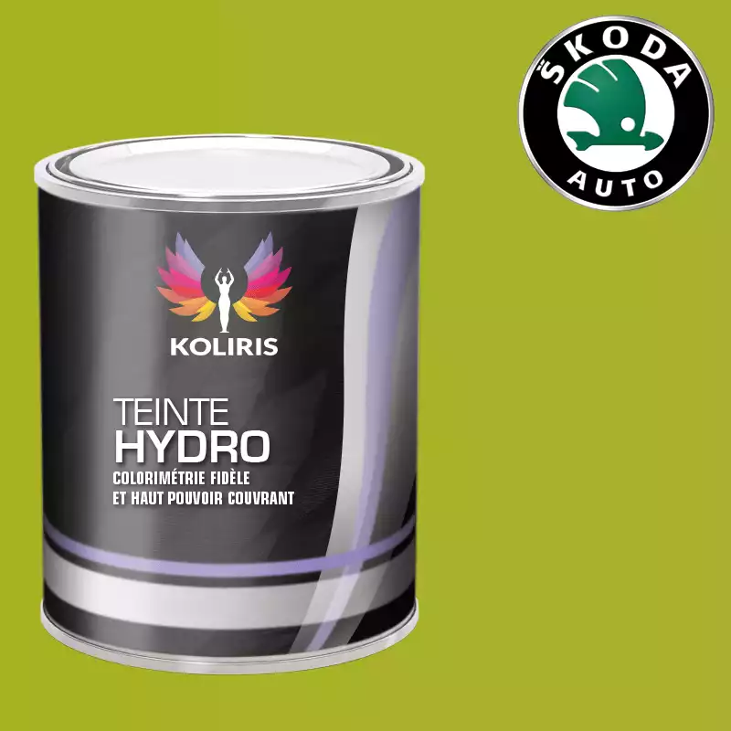 Peinture voiture hydro Skoda