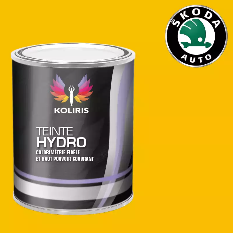 Peinture voiture hydro Skoda