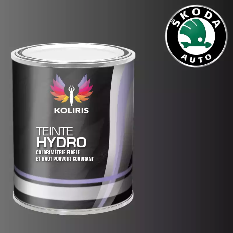 Peinture voiture hydro Skoda