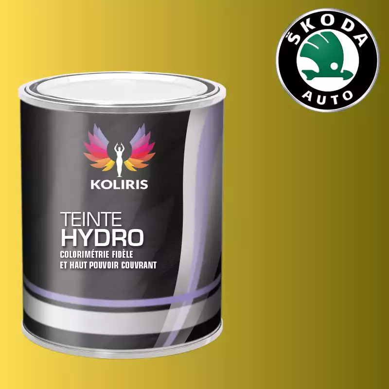 Peinture voiture hydro Skoda