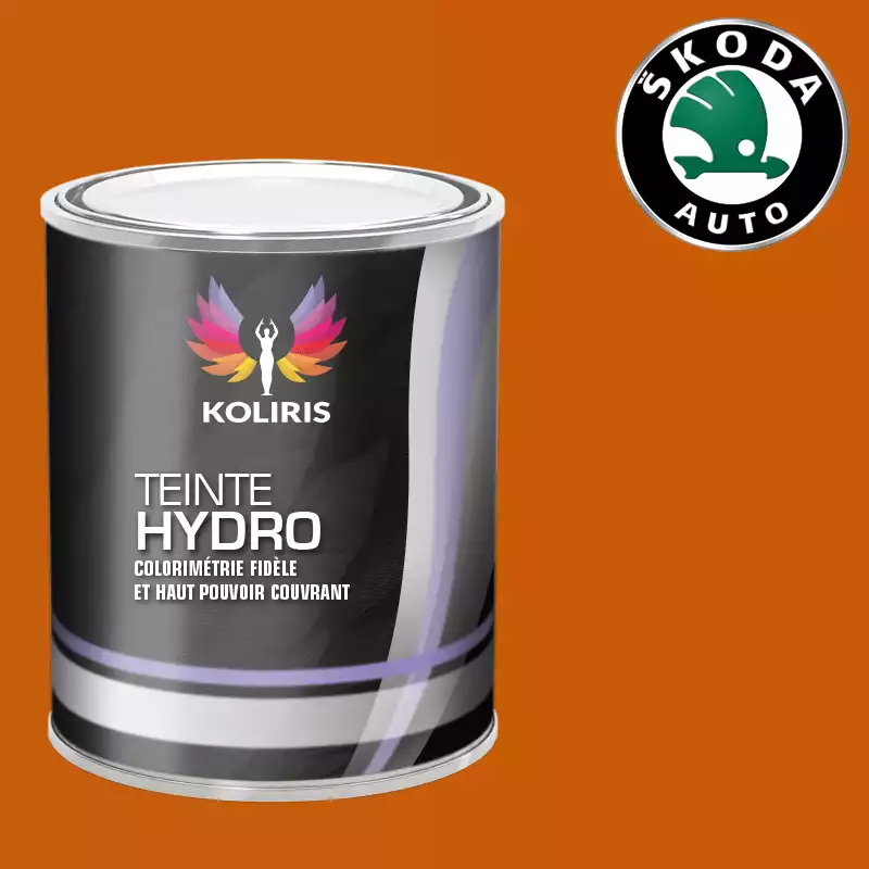 Peinture voiture hydro Skoda