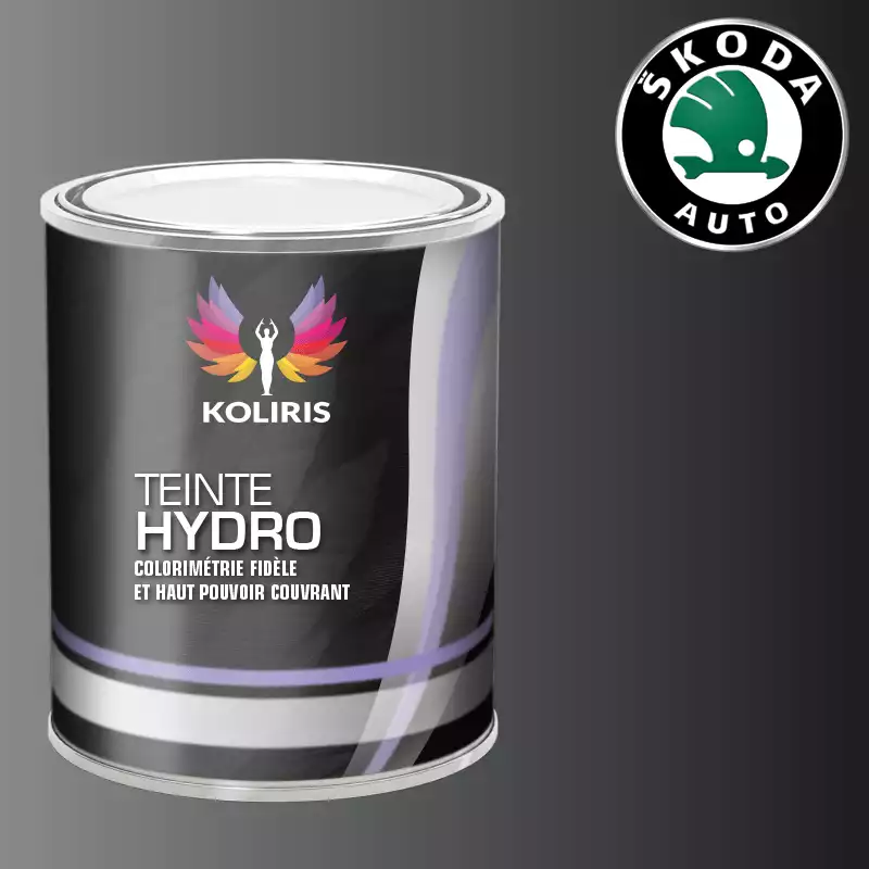 Peinture voiture hydro Skoda