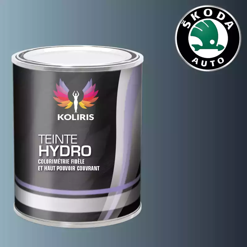 Peinture voiture hydro Skoda