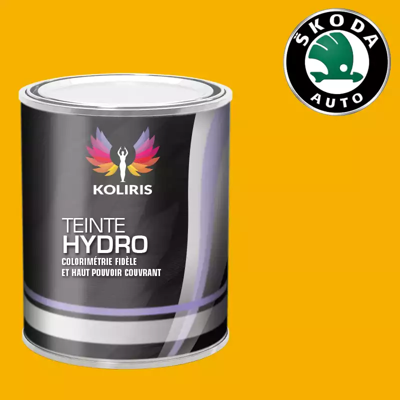 Peinture voiture hydro Skoda