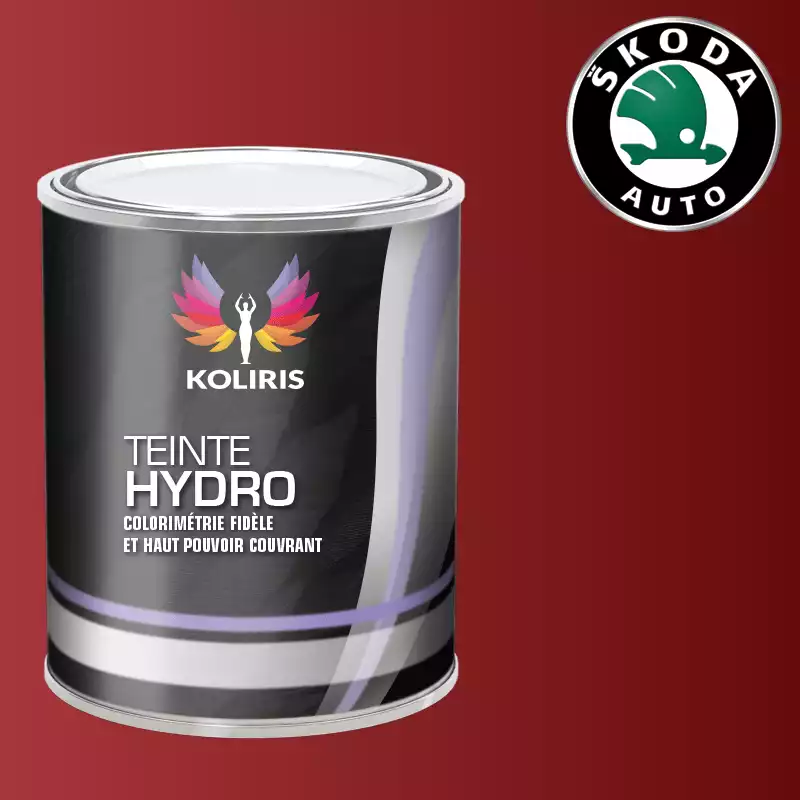 Peinture voiture hydro Skoda