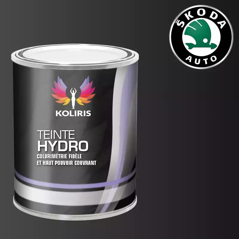 Peinture voiture hydro Skoda