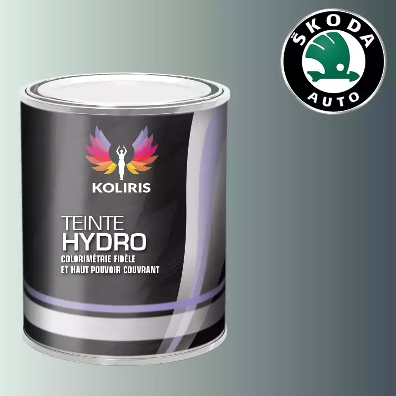 Peinture voiture hydro Skoda