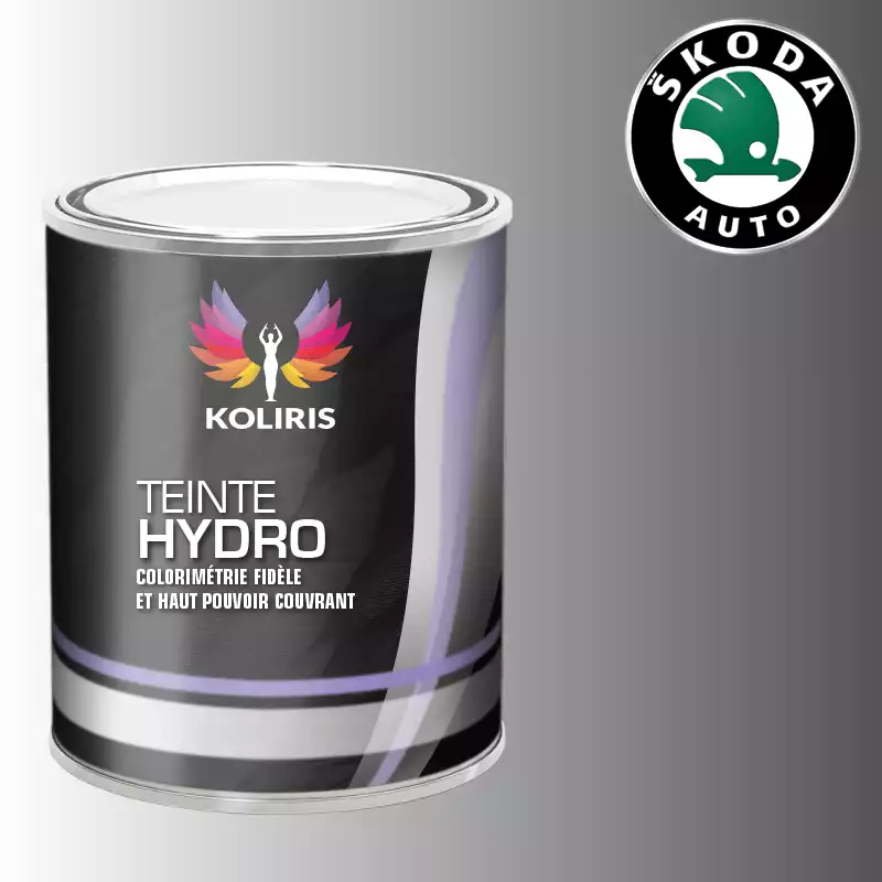 Peinture voiture hydro Skoda