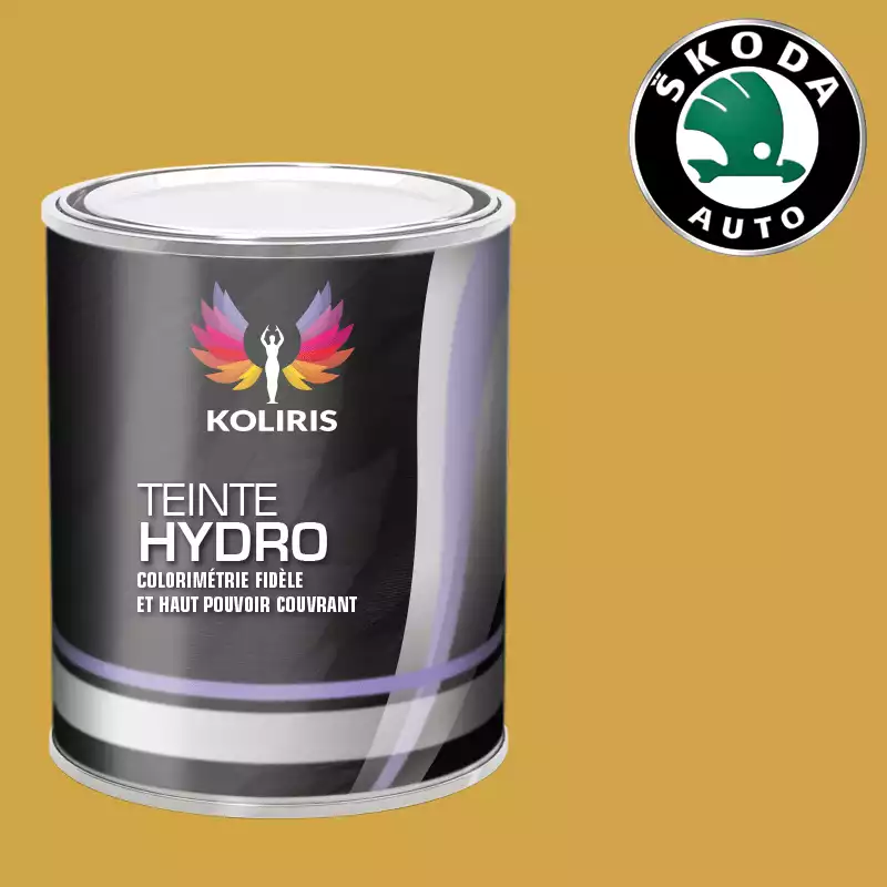 Peinture voiture hydro Skoda