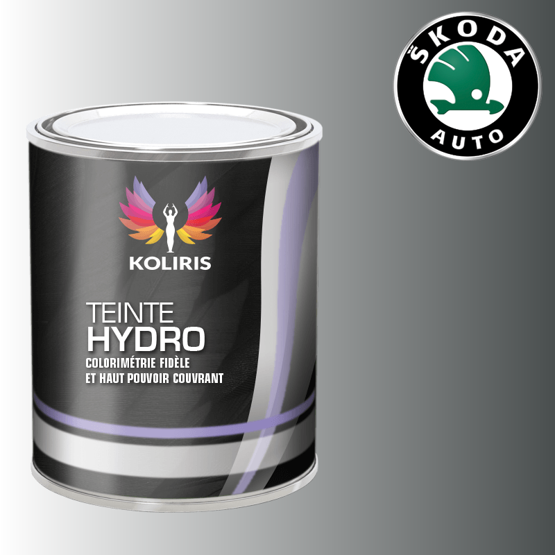 Peinture voiture hydro Skoda