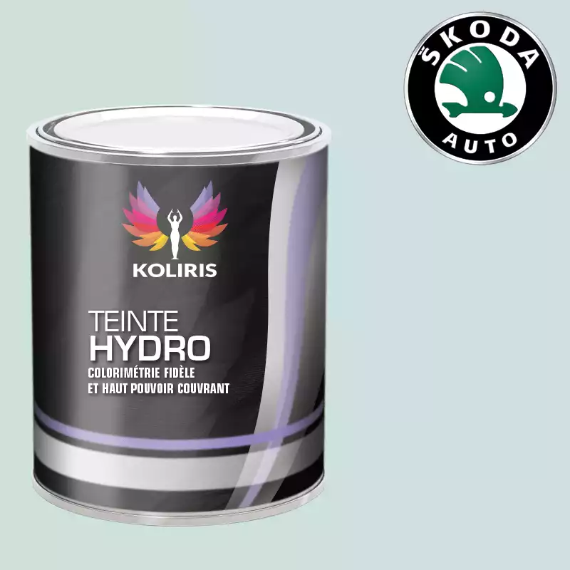 Peinture voiture hydro Skoda