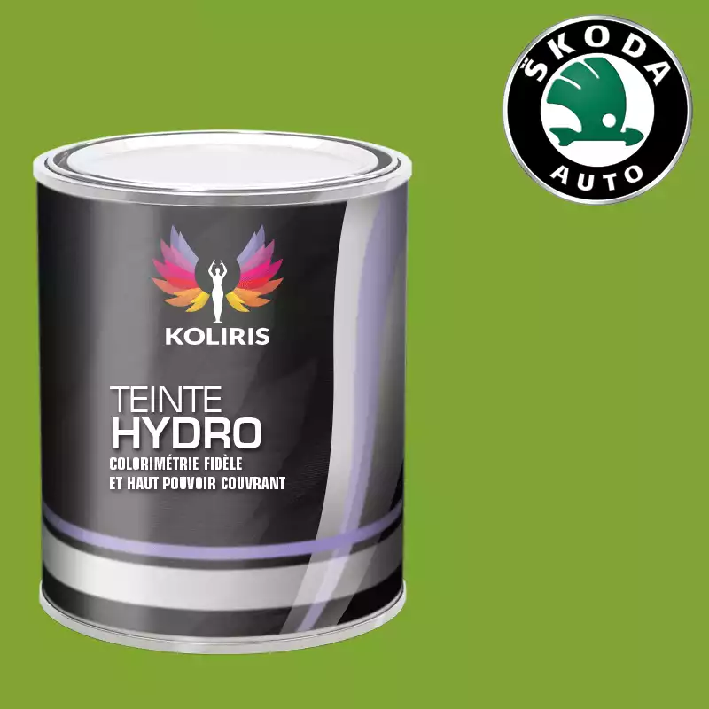 Peinture voiture hydro Skoda