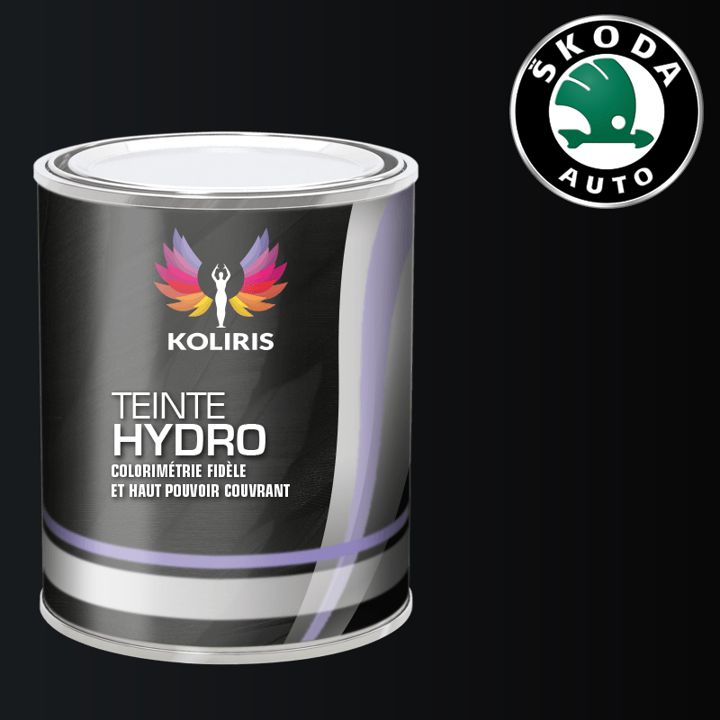 Peinture voiture hydro Skoda