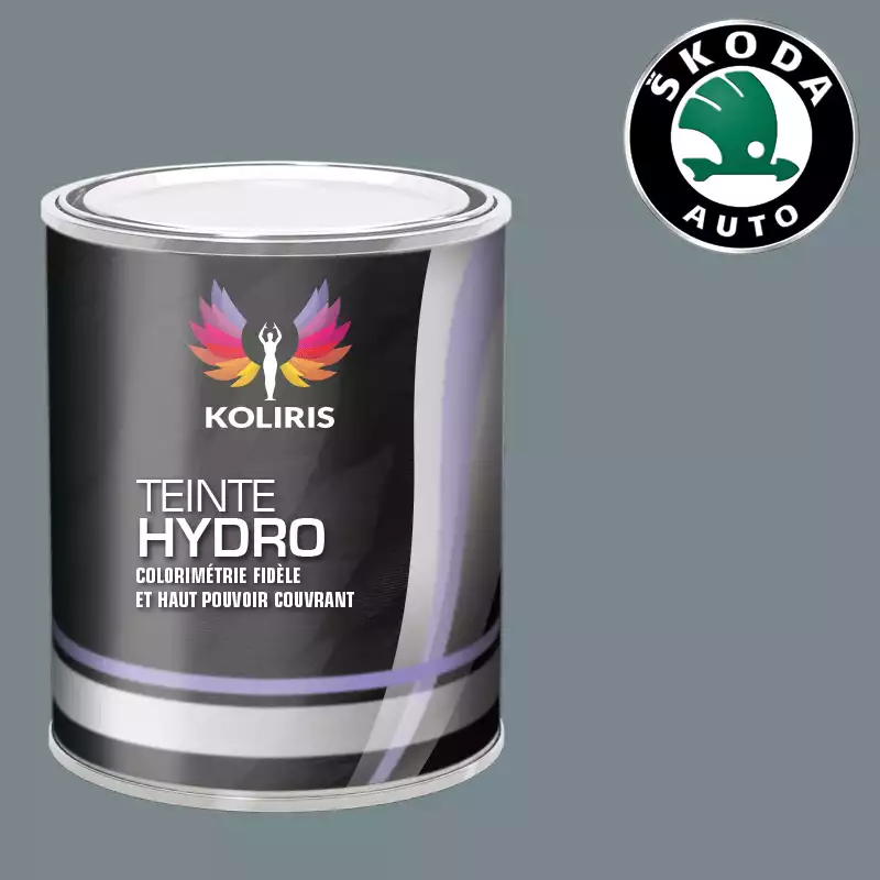 Peinture voiture hydro Skoda