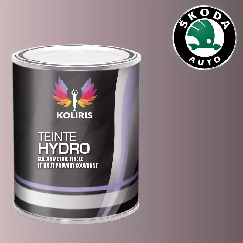 Peinture voiture hydro Skoda