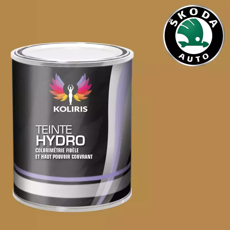 Peinture voiture hydro Skoda