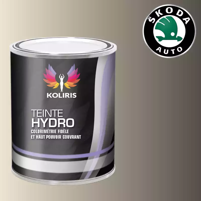 Peinture voiture hydro Skoda