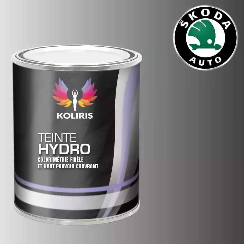 Peinture voiture hydro Skoda