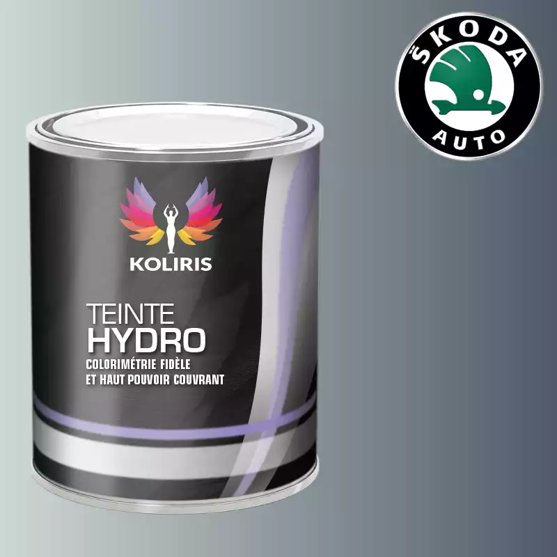 Peinture voiture hydro Skoda