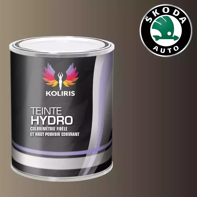 Peinture voiture hydro Skoda