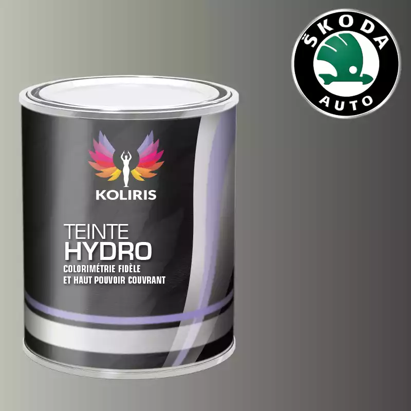 Peinture voiture hydro Skoda