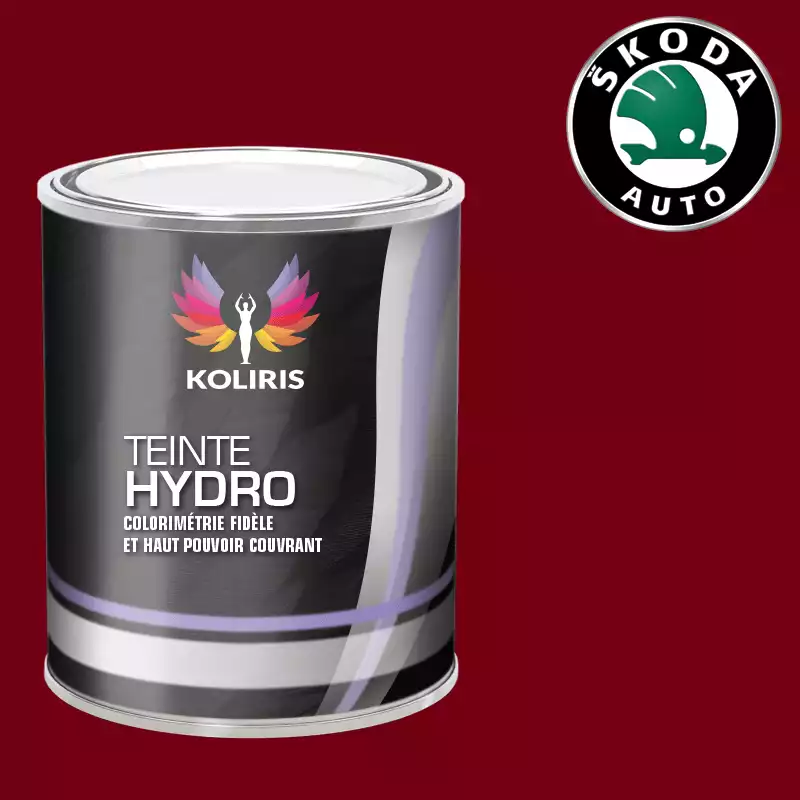 Peinture voiture hydro Skoda