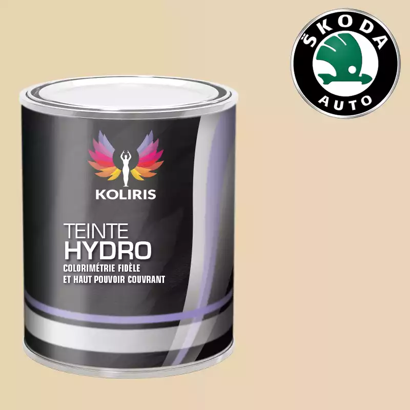 Peinture voiture hydro Skoda