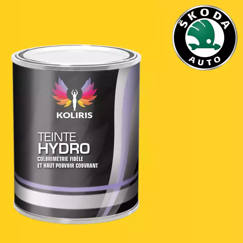 Peinture voiture hydro Skoda