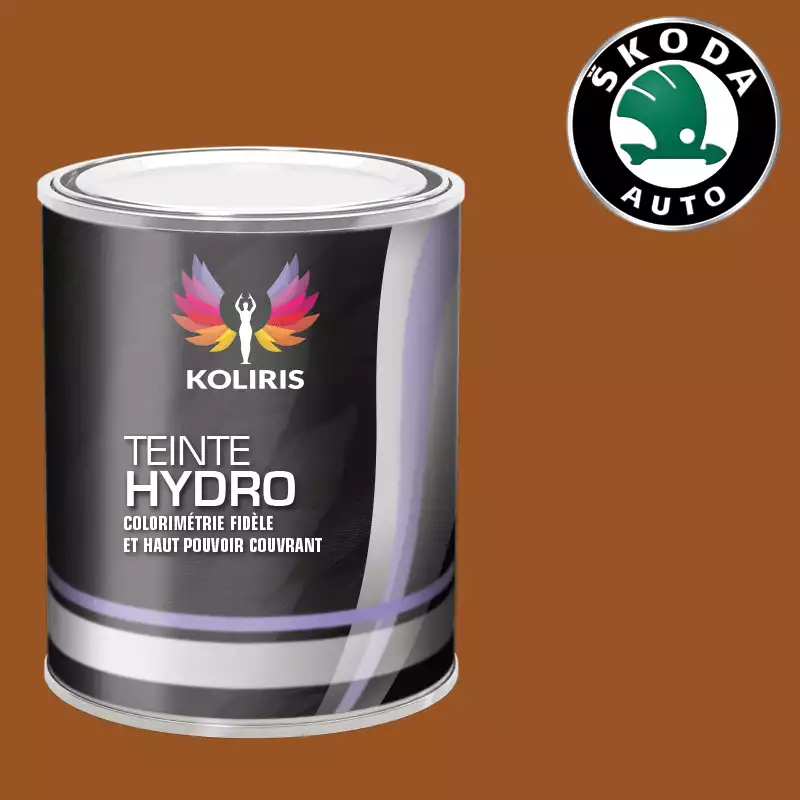 Peinture voiture hydro Skoda