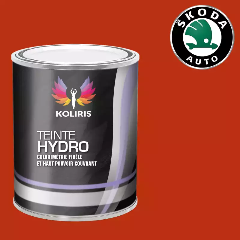 Peinture voiture hydro Skoda