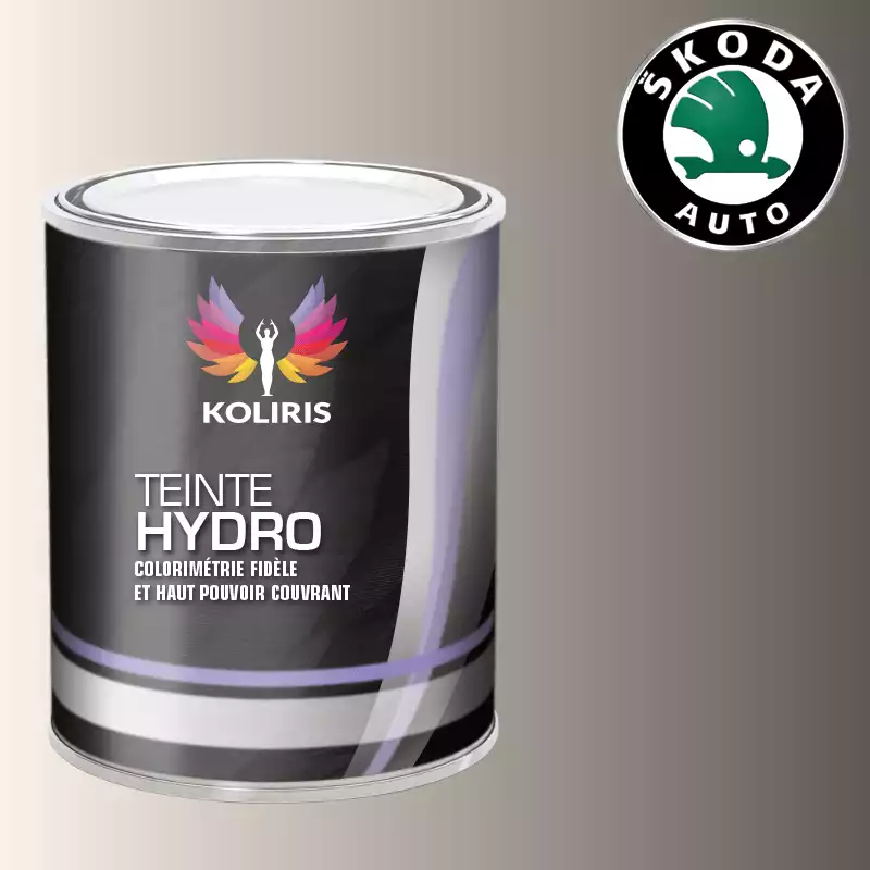 Peinture voiture hydro Skoda