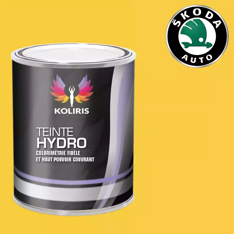 Peinture voiture hydro Skoda