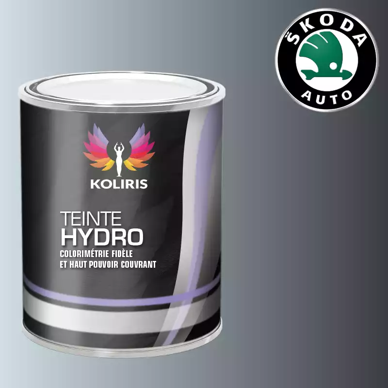 Peinture voiture hydro Skoda